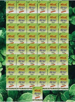 Pyary 49 Pieces Ayurvedic Soap Tumeric 