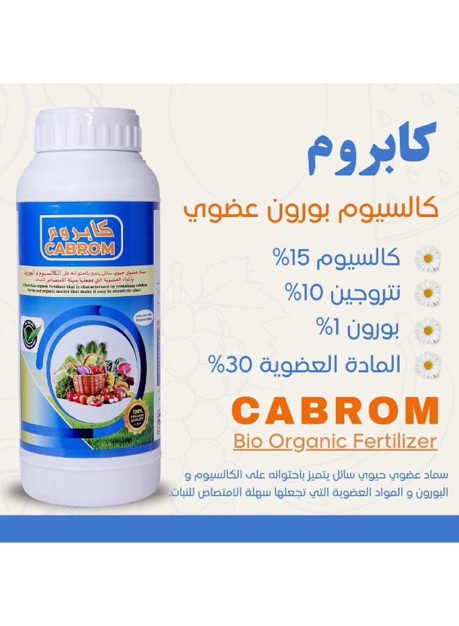 كنب كابروم بورون السائل - Image 2