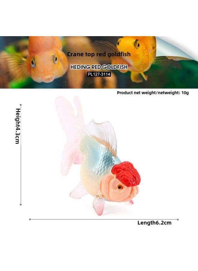 Children's Cognitive Simulation Goldfish Solid Marine Animal Model Crane Top Red Blister Eye Fish Tank Ornaments Bath Toys-Color:PL127-3114 Crane Top Red Goldfish - Image 1