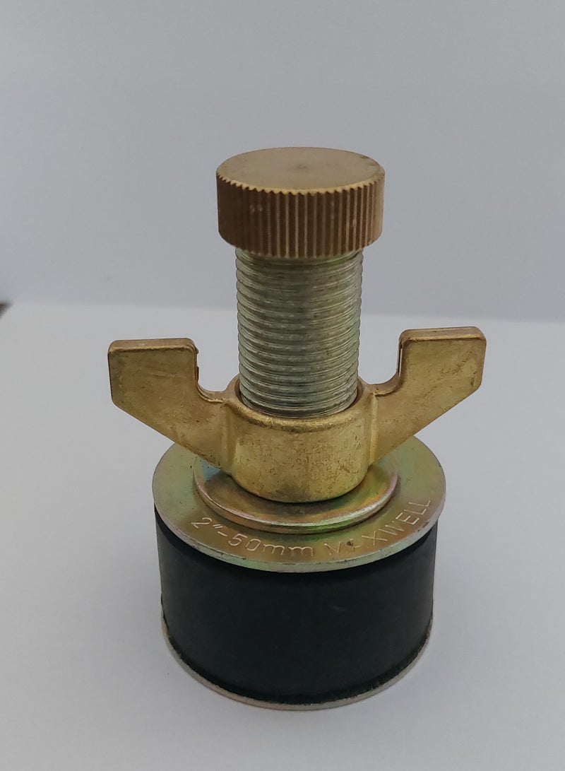 MAXWELL Drain Test Plug 2 Inch (50 Mm) With Brass Cap And Brass Wing Nut - Image 1