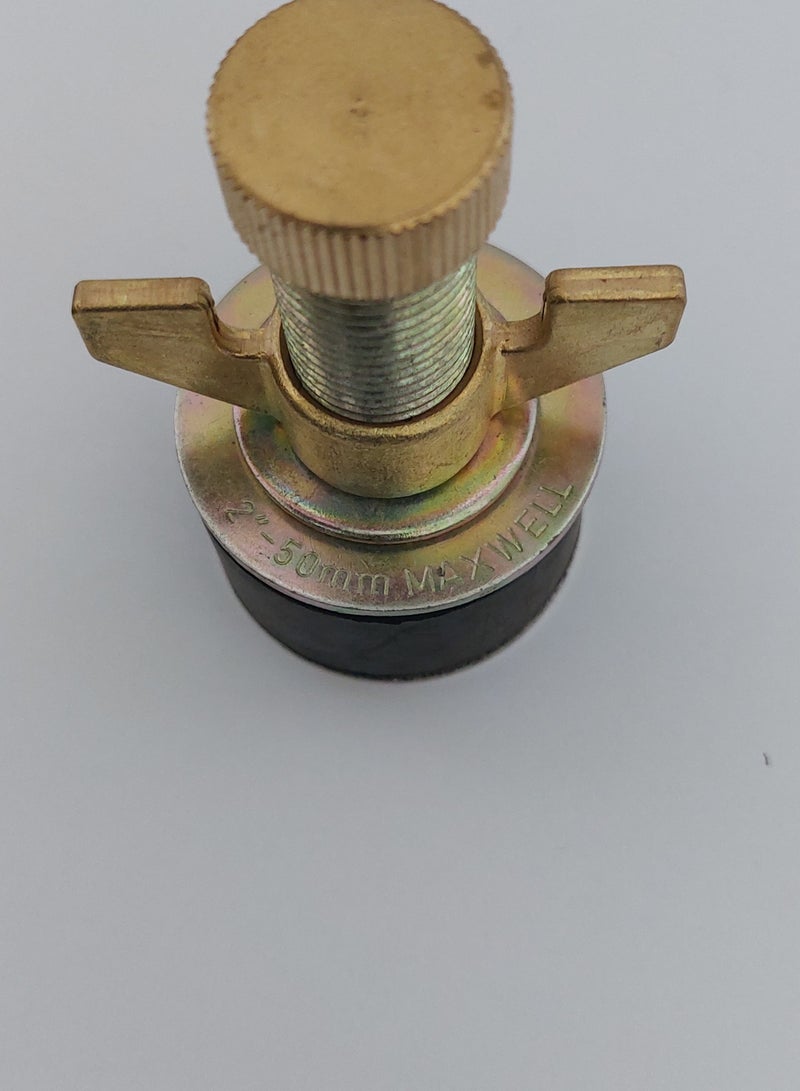 MAXWELL Drain Test Plug 2 Inch (50 Mm) With Brass Cap And Brass Wing Nut - Image 3