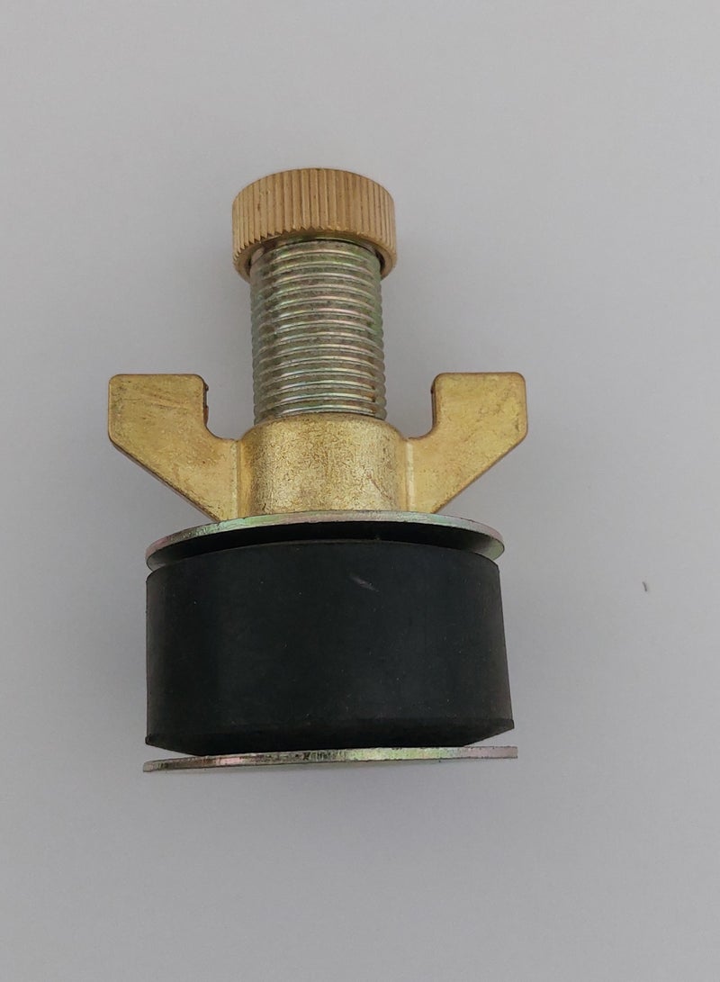 MAXWELL Drain Test Plug 2 Inch (50 Mm) With Brass Cap And Brass Wing Nut - Image 2