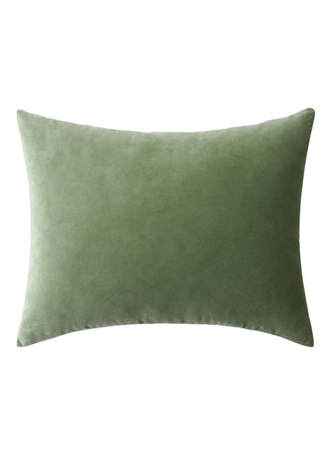 MIULEE Velvet Pillow Cover Soft Luxury Decorative Throw Pillow Cover Single Rectangle Cushion Case for Spring Couch Sofa Bedroom Car Decor,12x20 Inch Sage Green - Image 1