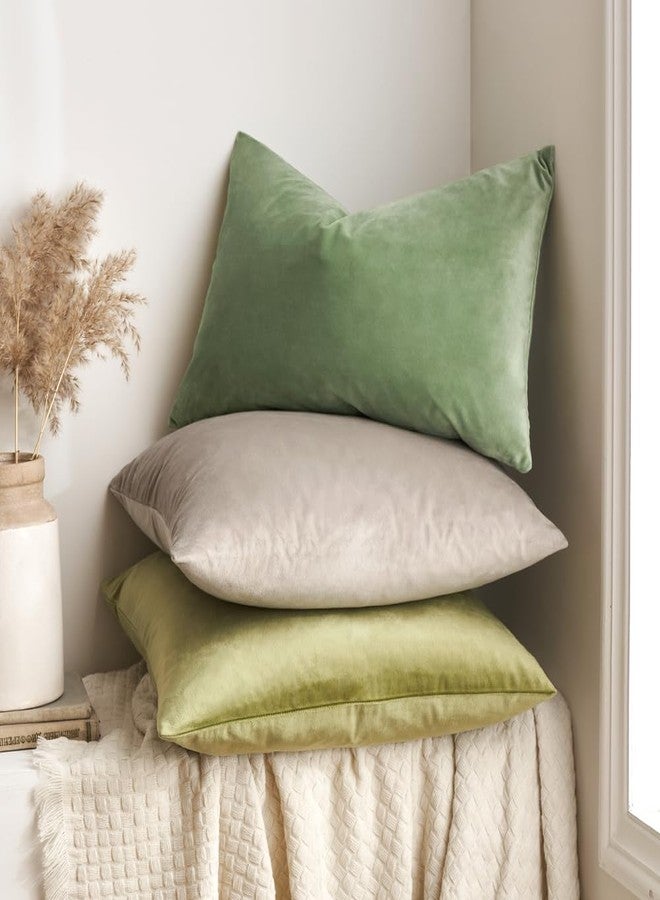 MIULEE Velvet Pillow Cover Soft Luxury Decorative Throw Pillow Cover Single Rectangle Cushion Case for Spring Couch Sofa Bedroom Car Decor,12x20 Inch Sage Green - Image 4