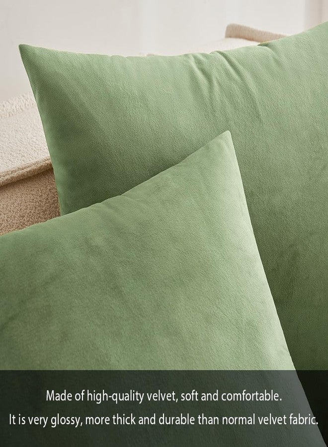 MIULEE Velvet Pillow Cover Soft Luxury Decorative Throw Pillow Cover Single Rectangle Cushion Case for Spring Couch Sofa Bedroom Car Decor,12x20 Inch Sage Green - Image 3