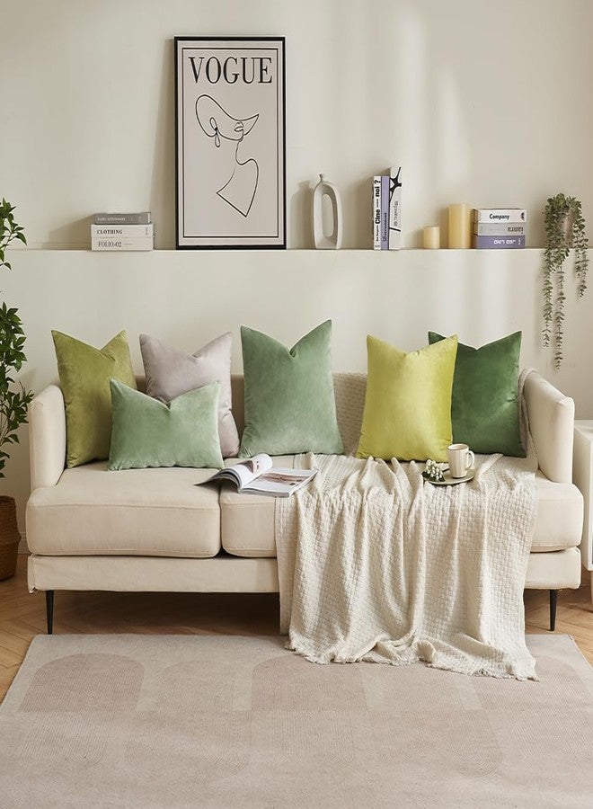 MIULEE Velvet Pillow Cover Soft Luxury Decorative Throw Pillow Cover Single Rectangle Cushion Case for Spring Couch Sofa Bedroom Car Decor,12x20 Inch Sage Green - Image 5