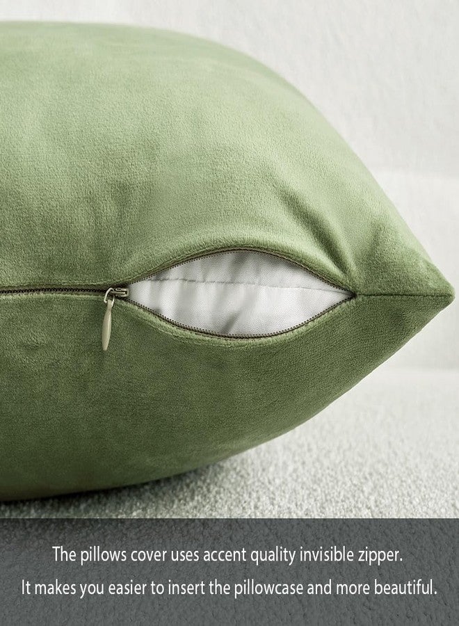 MIULEE Velvet Pillow Cover Soft Luxury Decorative Throw Pillow Cover Single Rectangle Cushion Case for Spring Couch Sofa Bedroom Car Decor,12x20 Inch Sage Green - Image 2