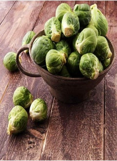 Brussels Sprout Evesham Special - Brassica oleracea 'Evesham Special' Vegetable Seeds, Approx300 Seeds Home Garden Planting by Heavy Torch, 300 Seeds