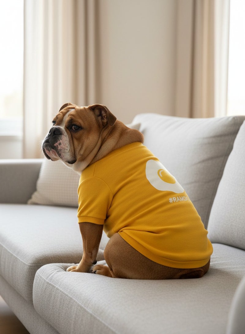 تشيرت شتوي للقطط والكلاب المنزلية – مبطن من الداخل – دافئ ومريح للاستخدام اليومي والنزهات