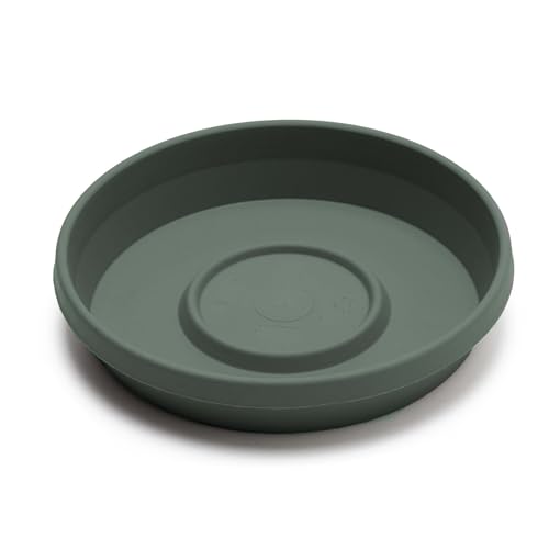 Bloem Terra Resin Saucer Tray: 9.25" Bottom Width - Basil Green - Matte, Durable, Ribbed Bottom, Indoor and Outdoor, Fits 12" Terra Pots - Image 3