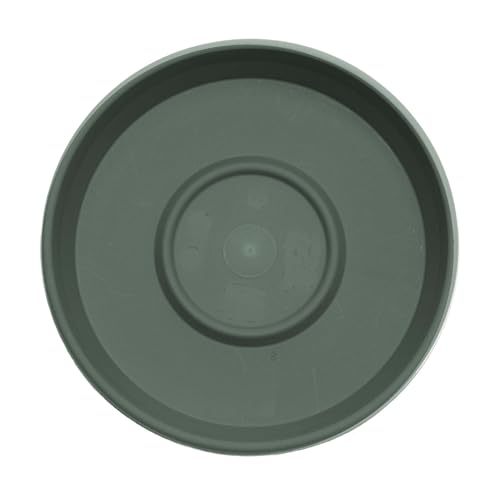 Bloem Terra Resin Saucer Tray: 9.25" Bottom Width - Basil Green - Matte, Durable, Ribbed Bottom, Indoor and Outdoor, Fits 12" Terra Pots - Image 4