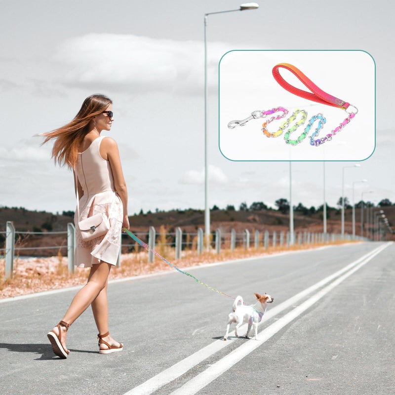 Professional Dog Chain Leash Wear Resistant Metal Walking Chain 3 0 Mm Sturdy Puppy Leash For Training And Outdoor Pet Use - Image 5