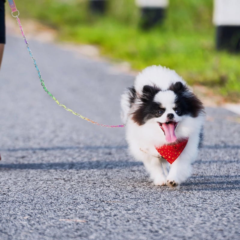 Professional Dog Chain Leash Wear Resistant Metal Walking Chain 3 0 Mm Sturdy Puppy Leash For Training And Outdoor Pet Use - Image 4