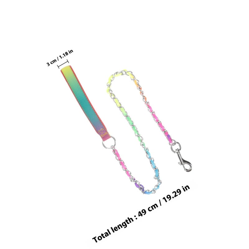 Professional Dog Chain Leash Wear Resistant Metal Walking Chain 3 0 Mm Sturdy Puppy Leash For Training And Outdoor Pet Use - Image 2