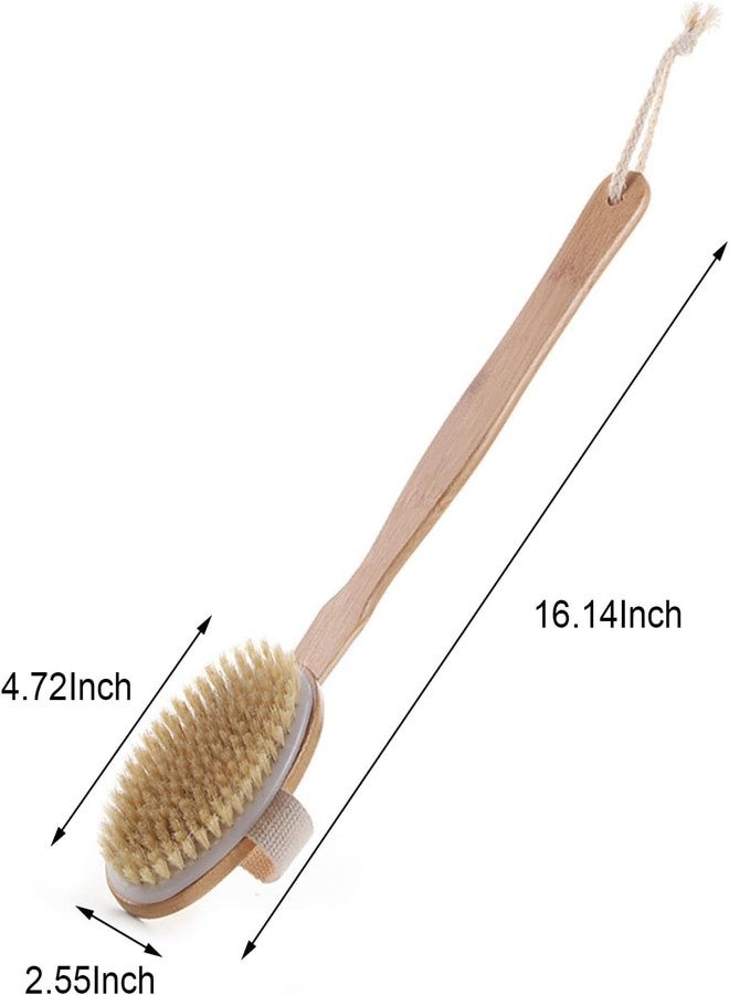 Ask Me Dry Body Brush for Lymphatic Drainage & Glowing Skin with Detachable Long Handle - Manage Cellulite & Exfoliation.(Bath Brush) - Image 3