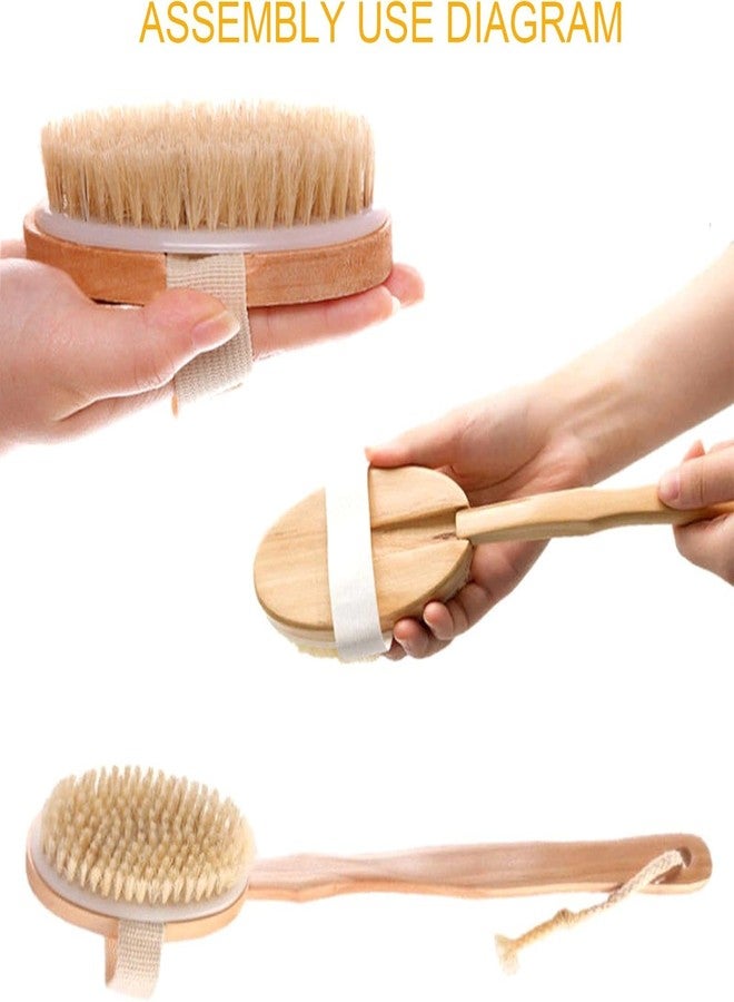 Ask Me Dry Body Brush for Lymphatic Drainage & Glowing Skin with Detachable Long Handle - Manage Cellulite & Exfoliation.(Bath Brush) - Image 2