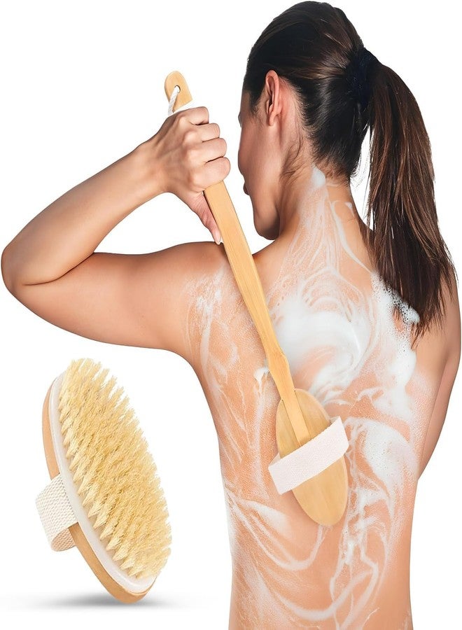 Ask Me Dry Body Brush for Lymphatic Drainage & Glowing Skin with Detachable Long Handle - Manage Cellulite & Exfoliation.(Bath Brush) - Image 4