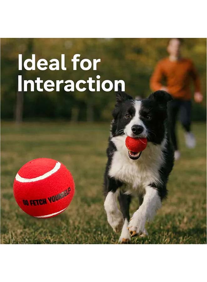 Elan Pet Tennis Ball PO 1 with Squeaker Red – Durable Dog Toy Ball with Built-In Squeaker for Fetch, Training and Interactive Play - Image 4
