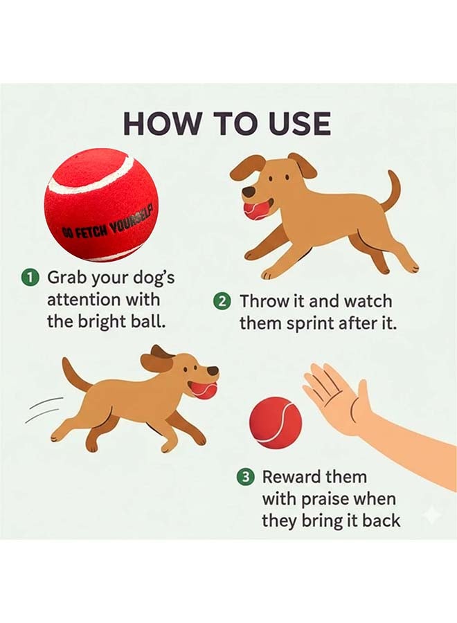 Elan Pet Tennis Ball PO 1 with Squeaker Red – Durable Dog Toy Ball with Built-In Squeaker for Fetch, Training and Interactive Play - Image 5