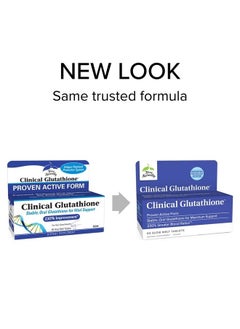 Terry Naturally Clinical Glutathione - 60 Slow Melt Tablets, Pack of 2 - Stable 300 mg L-Glutathione Supplement - Non-GMO, Vegan, Gluten Free - 60 Total Servings  - Image 3
