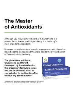 Terry Naturally Clinical Glutathione - 60 Slow Melt Tablets, Pack of 2 - Stable 300 mg L-Glutathione Supplement - Non-GMO, Vegan, Gluten Free - 60 Total Servings  - Image 4