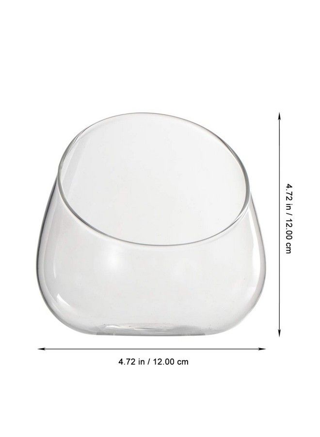 DOITOOL Clear Glass Vase Glass Slant Cut Bubble Bowl Clear Glass Terrarium Bowl Globe Planter Candy Dish Fruit Jar Glass Succulent Bowl Round Flowe Vase For Home Office Decorations - Image 4