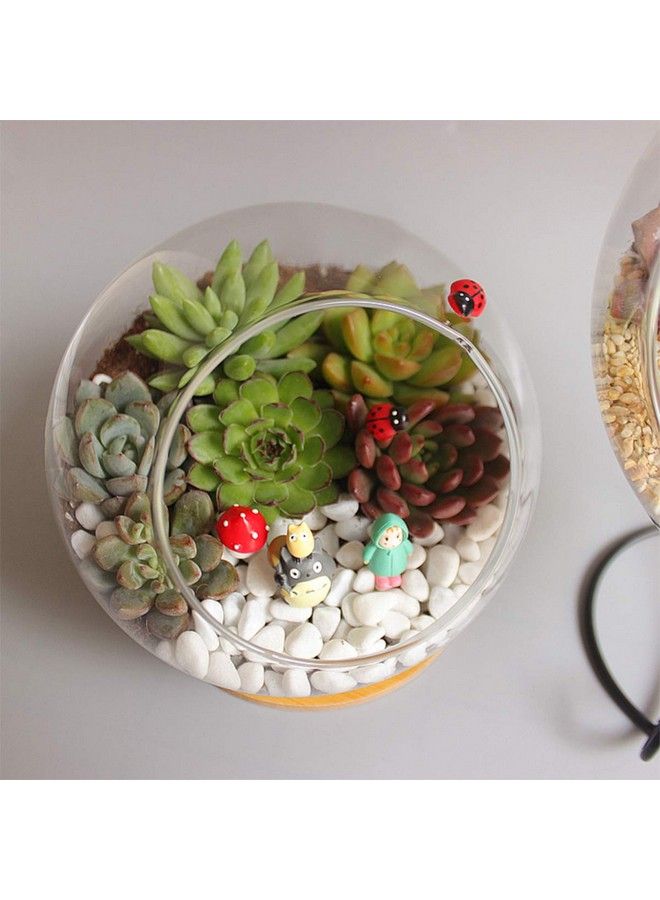DOITOOL Clear Glass Vase Glass Slant Cut Bubble Bowl Clear Glass Terrarium Bowl Globe Planter Candy Dish Fruit Jar Glass Succulent Bowl Round Flowe Vase For Home Office Decorations - Image 3