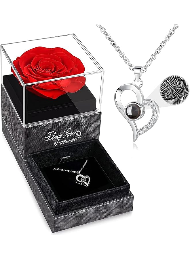 The Bros Preserved Rose, Eternal Red Rose Flower Gift Box, Fascinating Rose with Heart Necklace, The Rose for Women, Handmade Forever Rose Romantic Gifts for Her Women Wife, Mother's Day - Image 1