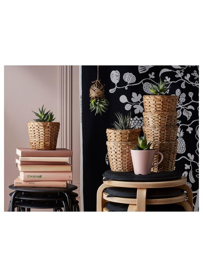 erorex Plant pot, water hyacinth, 12 cm - Image 5