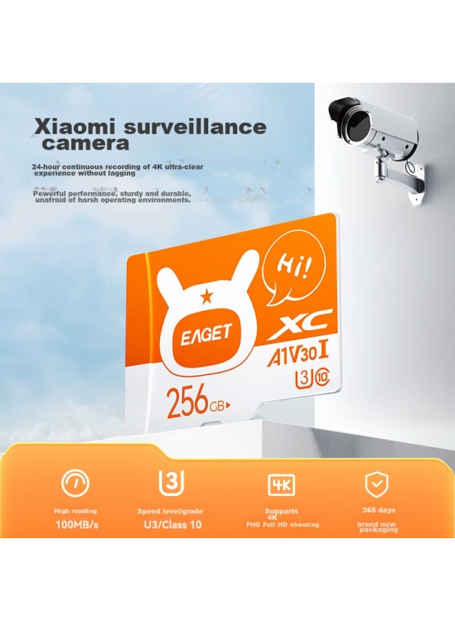 Eaget 256gb Tf Memory Card A1 U3 V30 C10, Dash Cam & Security Surveillance Memory Card, Upgraded And Durable - Image 1