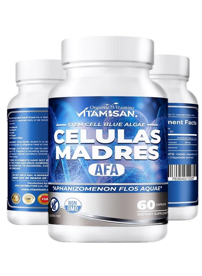 VITAMISAN 4 Celulas Madres Stemcells AFA Blue Green Algae Anti-Aging 240 Capsules New - Image 2