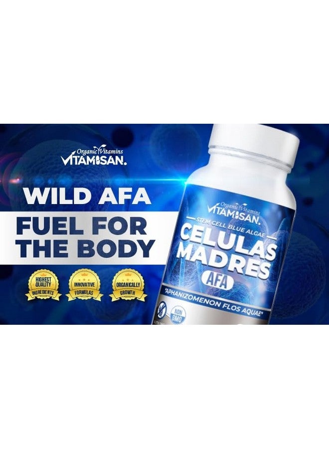 VITAMISAN 4 Celulas Madres Stemcells AFA Blue Green Algae Anti-Aging 240 Capsules New - Image 5