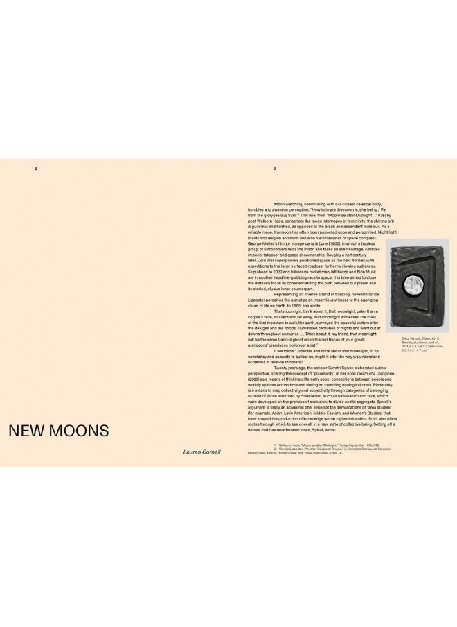 Erika Verzutti: New Moons  - Image 3