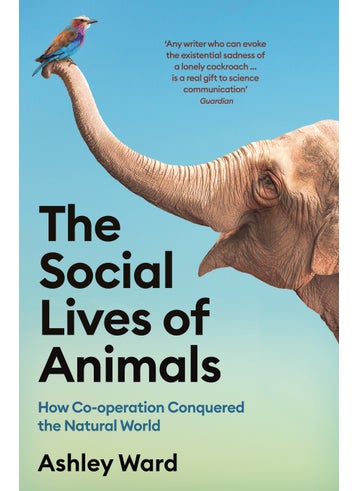 Social Lives of Animals - pzsku/Z0F4BDD99ADBCF1BC1E4FZ/45/_/1734526253/9aa00f8a-395d-4962-b234-d963da52e7b8