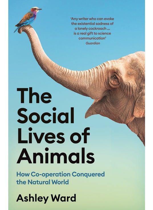 Social Lives of Animals