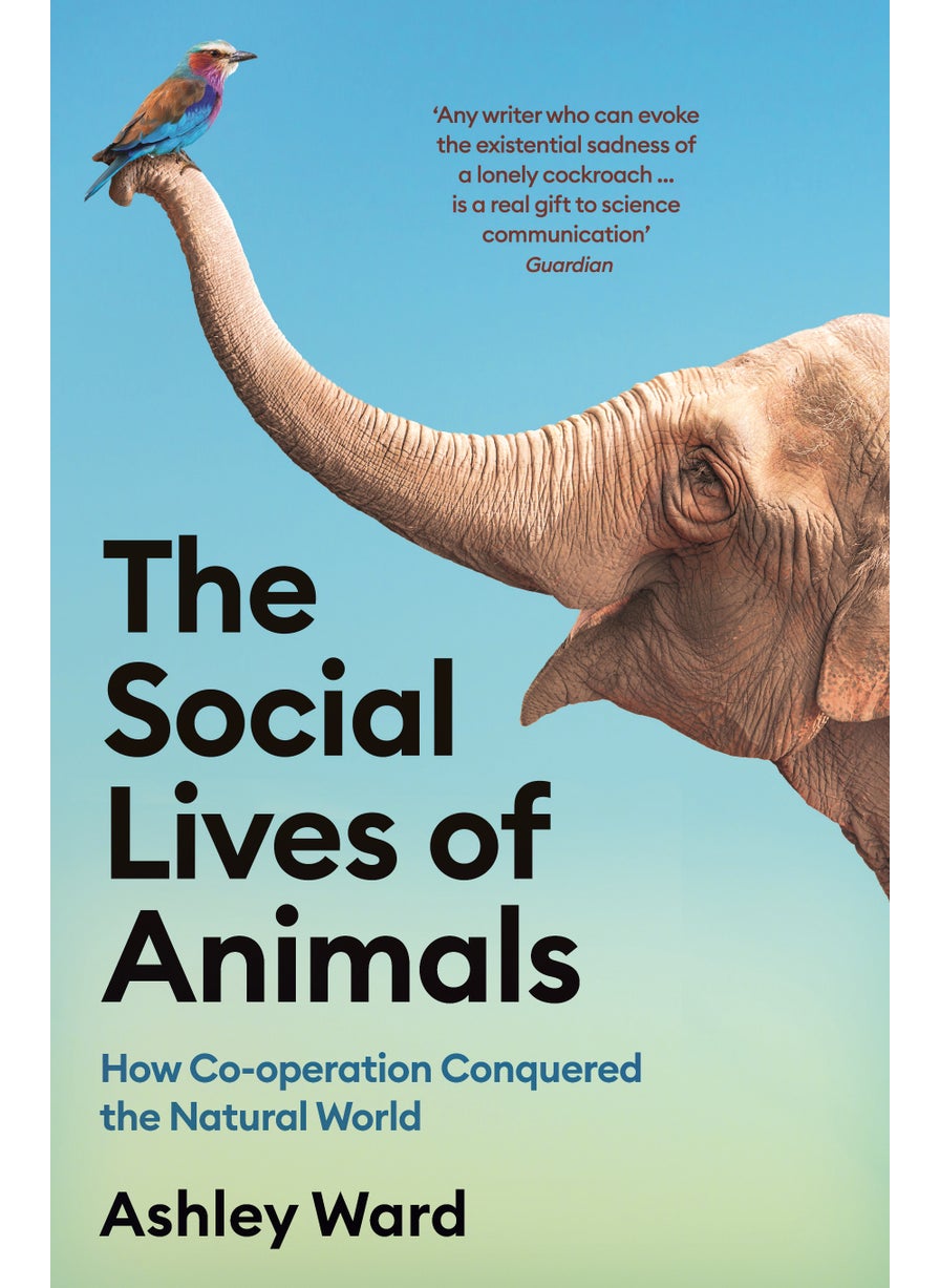Social Lives of Animals