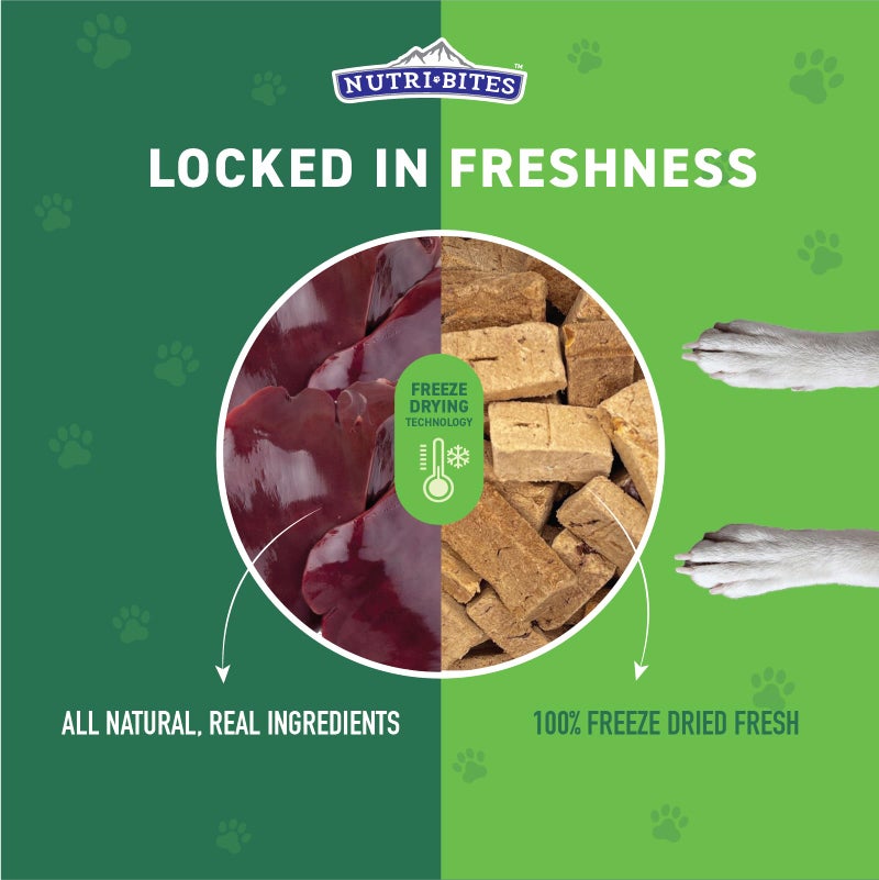 Nutri Bites Freeze Dried Beef Liver Dog & Cat Treats | Healthy Pet Training Treats or Food Topper | All Natural, Single Ingredient, High Protein | Premium Bulk Value Pack, 17.6 oz - Image 3