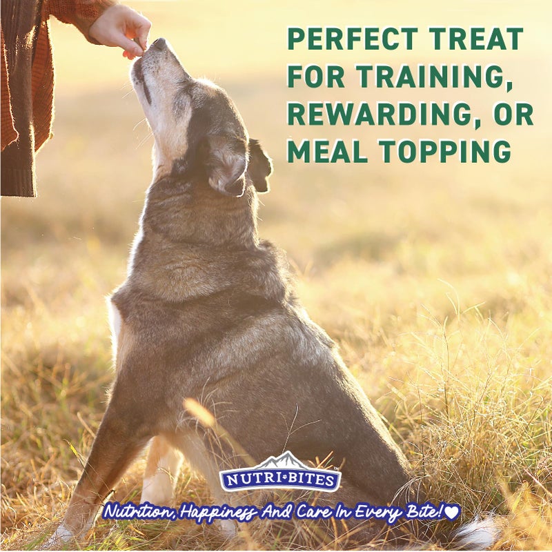 Nutri Bites Freeze Dried Beef Liver Dog & Cat Treats | Healthy Pet Training Treats or Food Topper | All Natural, Single Ingredient, High Protein | Premium Bulk Value Pack, 17.6 oz - Image 4