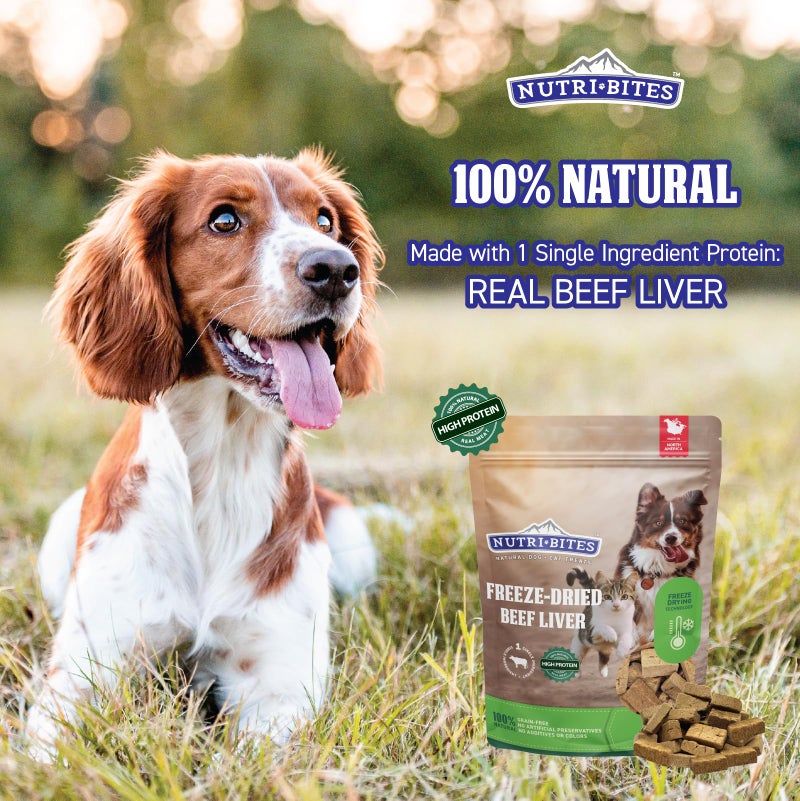Nutri Bites Freeze Dried Beef Liver Dog & Cat Treats | Healthy Pet Training Treats or Food Topper | All Natural, Single Ingredient, High Protein | Premium Bulk Value Pack, 17.6 oz - Image 2