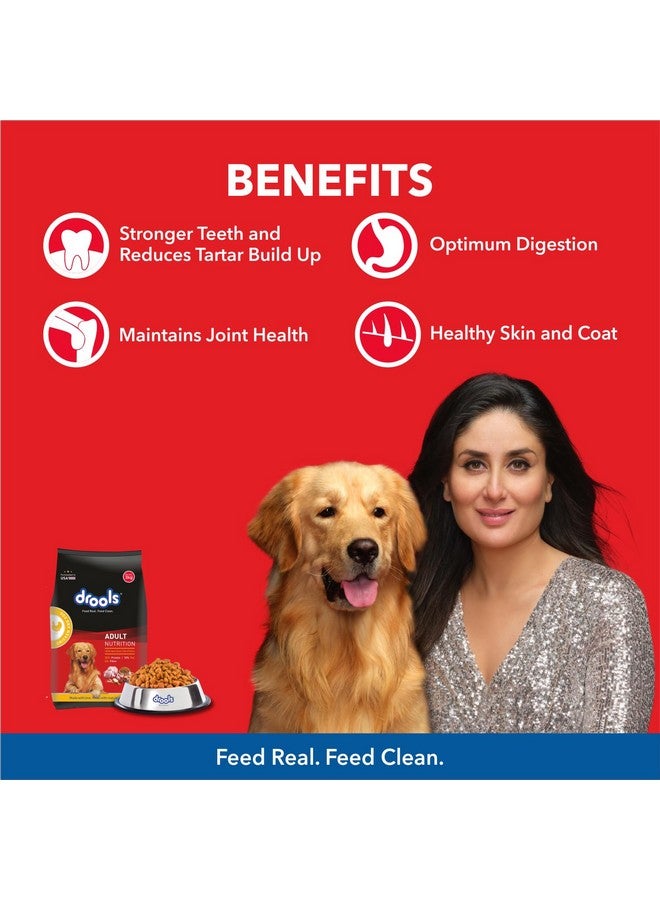 Drools Dry Dog Food Adult, Chicken and Egg Flavor 1.2Kg Pack - Image 2