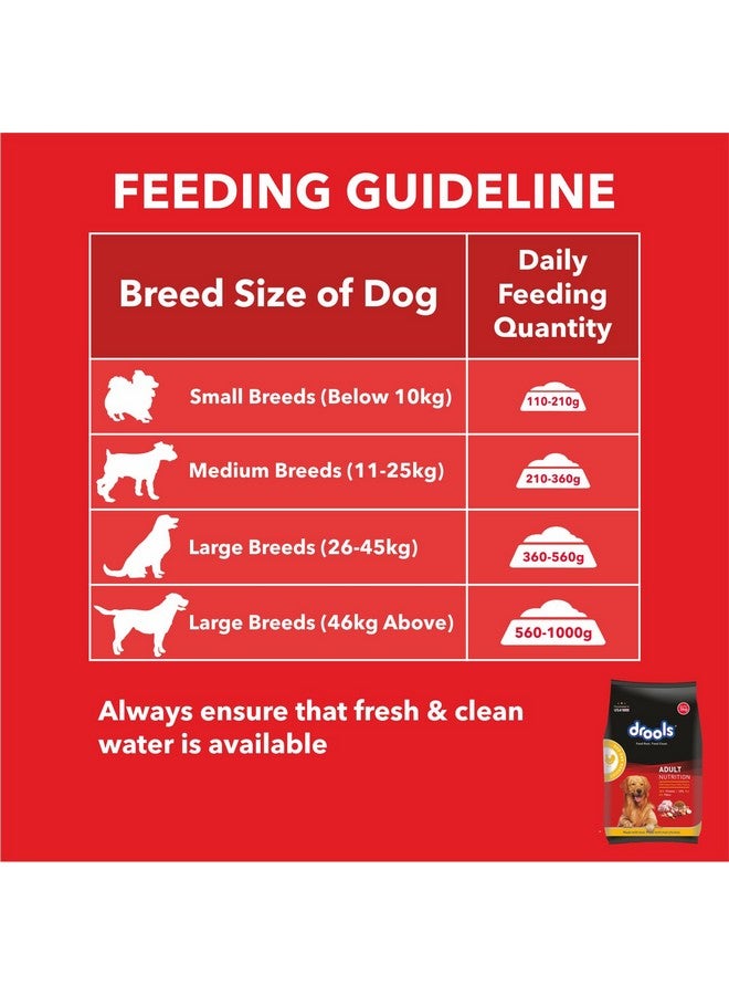 Drools Dry Dog Food Adult, Chicken and Egg Flavor 1.2Kg Pack - Image 4