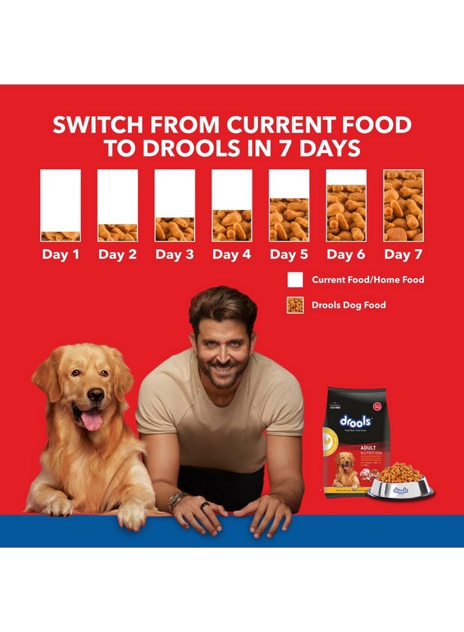 Drools Dry Dog Food Adult, Chicken and Egg Flavor 1.2Kg Pack - Image 3