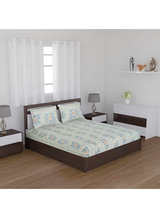 Status Contract -Cotton Rich Double Bedsheet with 2 Pillow Covers for Bed Room, Home, Hotel-120 GSM (Creamy White) - Image 2