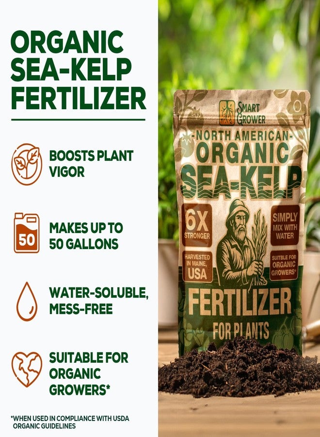 Smart Grower Organic Sea Kelp Fertilizer, Water-Soluble, Indoor & Outdoor, 2 oz - Image 2