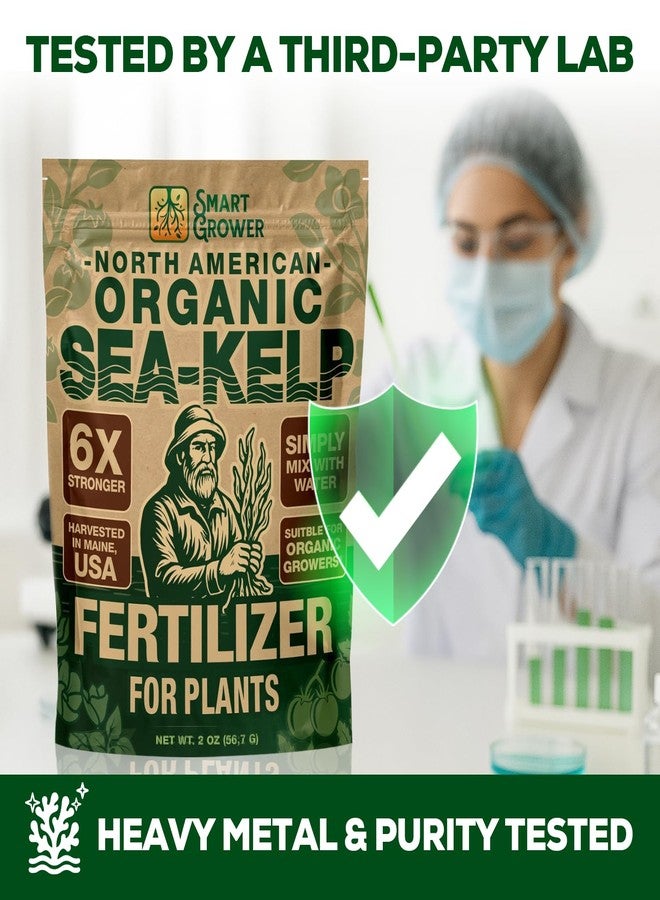 Smart Grower Organic Sea Kelp Fertilizer, Water-Soluble, Indoor & Outdoor, 2 oz - Image 5