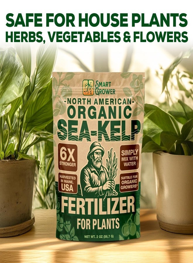 Smart Grower Organic Sea Kelp Fertilizer, Water-Soluble, Indoor & Outdoor, 2 oz - Image 3