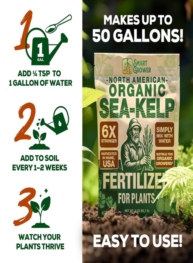 Smart Grower Organic Sea Kelp Fertilizer, Water-Soluble, Indoor & Outdoor, 2 oz - Image 4