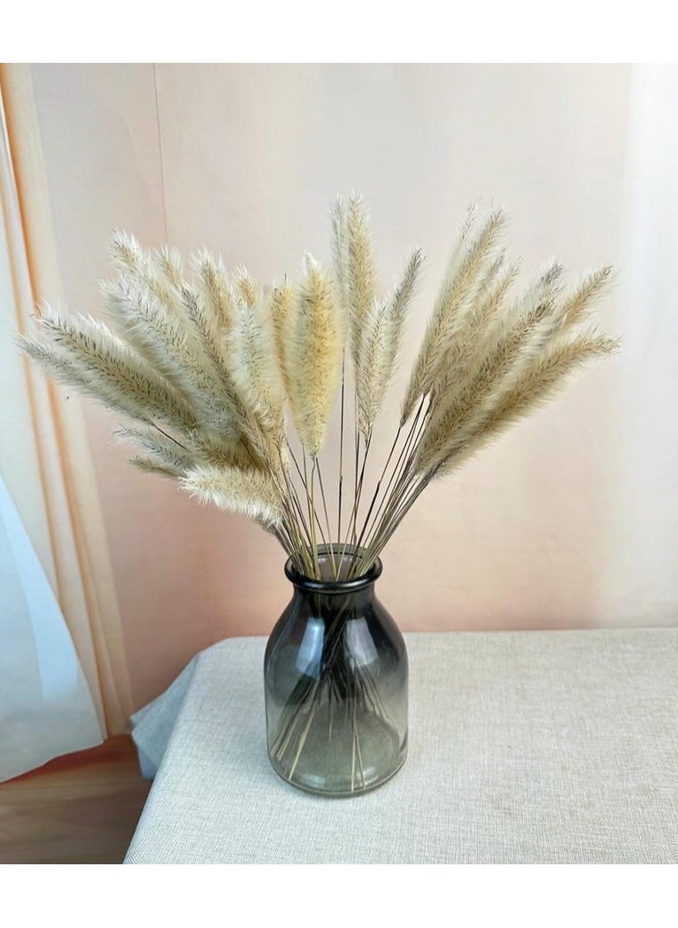 Generic Cat Tails Dried Flowers 30 Pieces  - Image 1