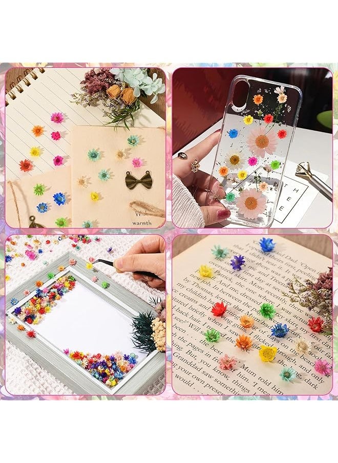erorex Dried Flowers For Resin Crafts Natural Dried Pressed Flowers Bulk Small Dried Flowers For Diy Jewelry Earrings Epoxy Mold Candles Soap Making Scrapbooking Garland Wreath Making 600Pcs  - Image 4