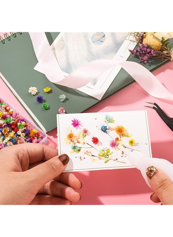 erorex Dried Flowers For Resin Crafts Natural Dried Pressed Flowers Bulk Small Dried Flowers For Diy Jewelry Earrings Epoxy Mold Candles Soap Making Scrapbooking Garland Wreath Making 600Pcs  - Image 3